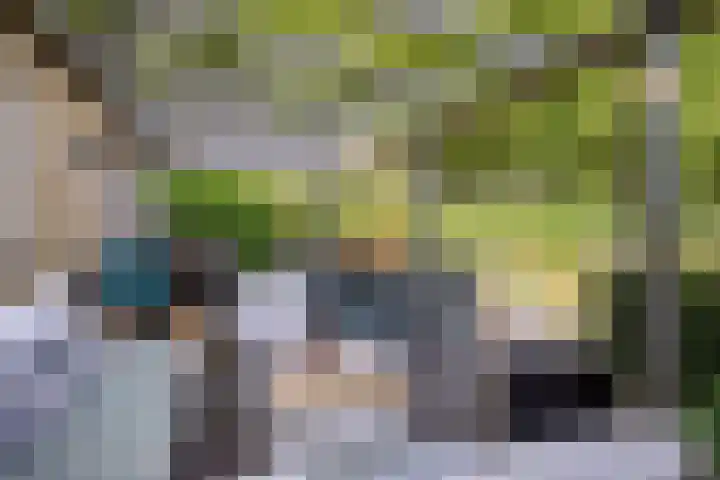 Platanenlaan 11 Veldhoven thumbnail 32
