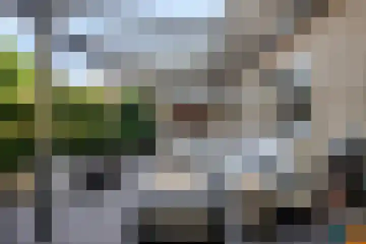 Platanenlaan 11 Veldhoven thumbnail 33