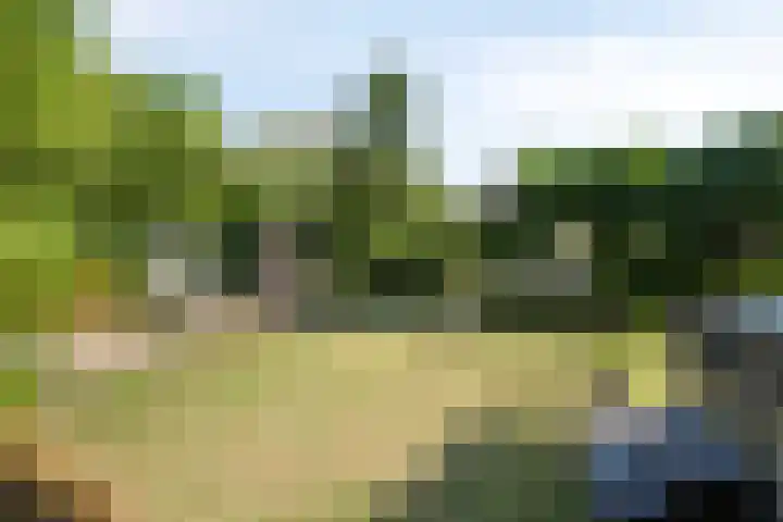 Platanenlaan 11 Veldhoven thumbnail 34