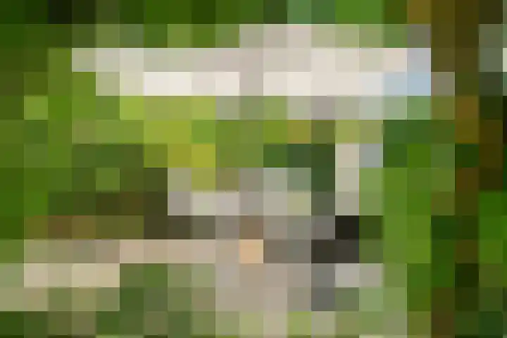 Platanenlaan 11 Veldhoven thumbnail 35