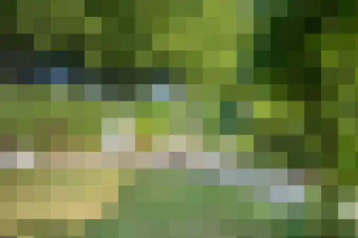 Platanenlaan 11 Veldhoven thumbnail 36