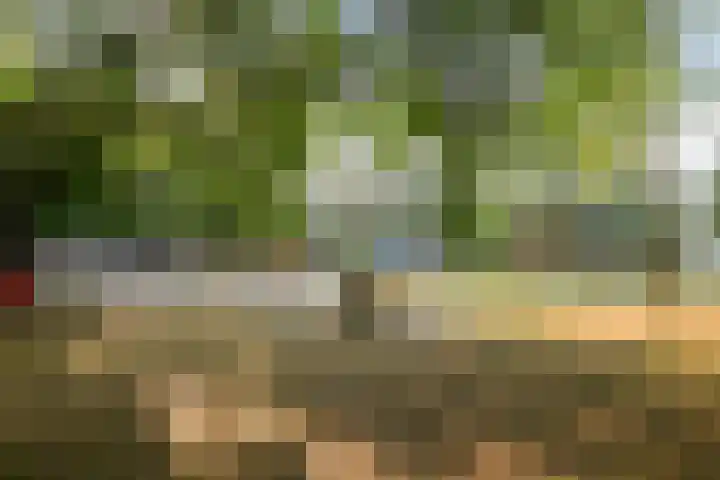 Platanenlaan 11 Veldhoven thumbnail 38