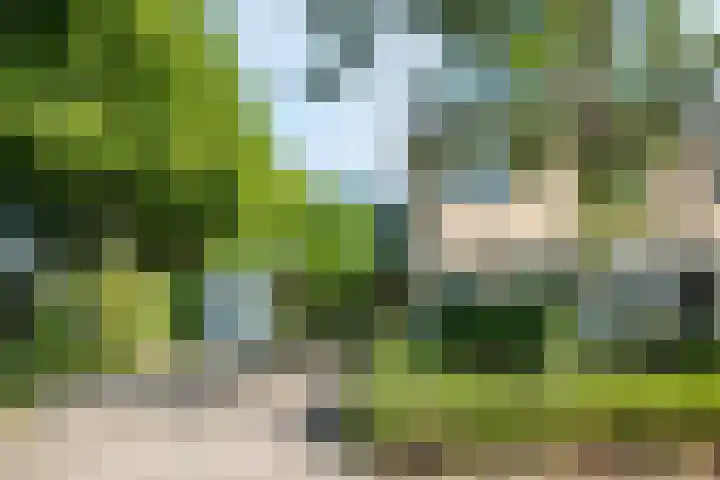 Platanenlaan 11 Veldhoven thumbnail 5