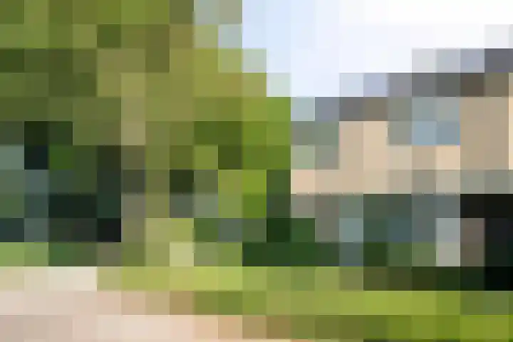 Platanenlaan 11 Veldhoven thumbnail 6