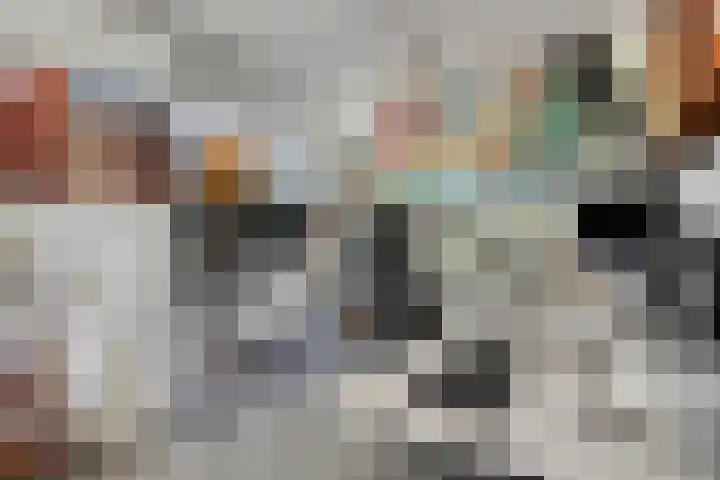 Platanenlaan 11 Veldhoven thumbnail 9