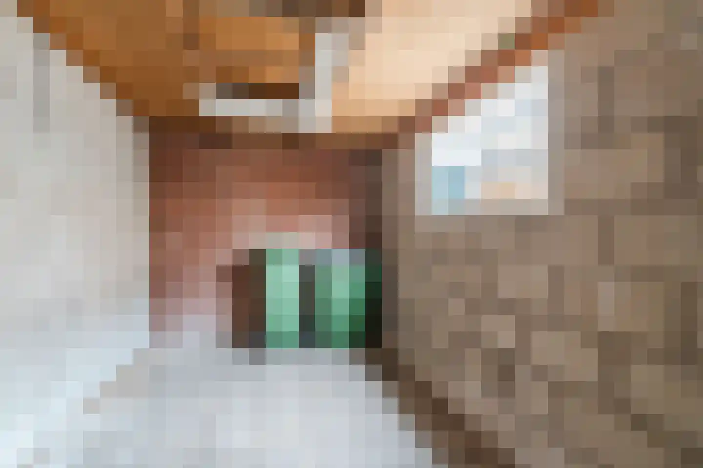 Platanenlaan 12 Nijkerk thumbnail 42