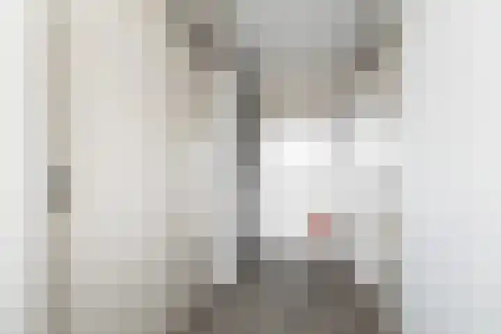 Platanenlaan 14 Renswoude thumbnail 28