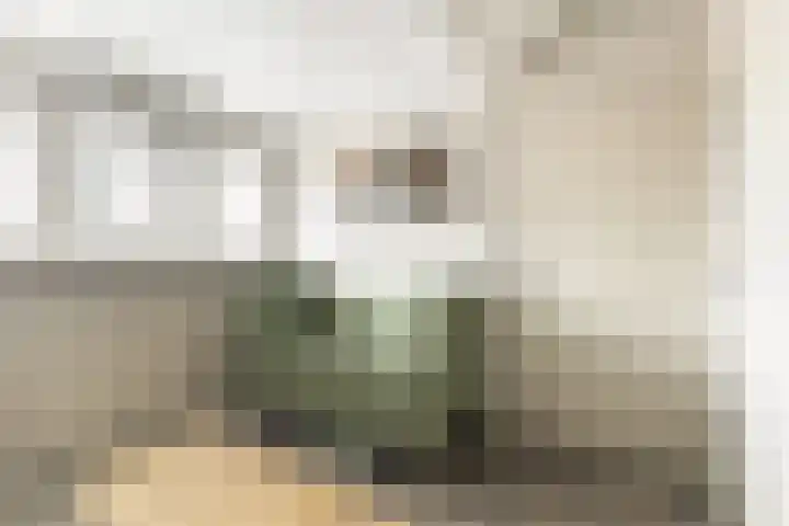 Platanenlaan 14 Renswoude thumbnail 30