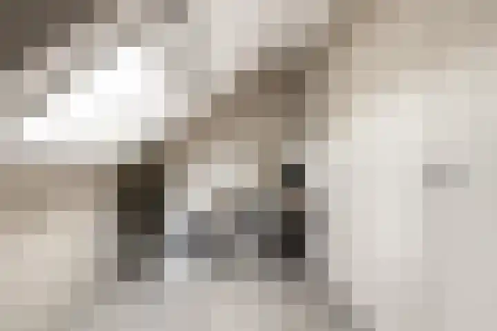 Platanenlaan 14 Renswoude thumbnail 32