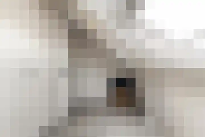 Platanenlaan 14 Renswoude thumbnail 33