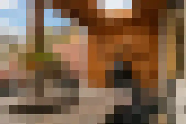Platanenlaan 14 Renswoude thumbnail 35