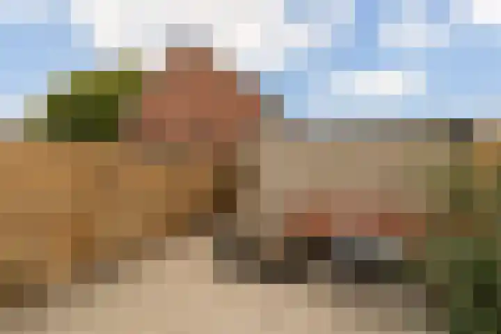 Platanenlaan 14 Renswoude thumbnail 38