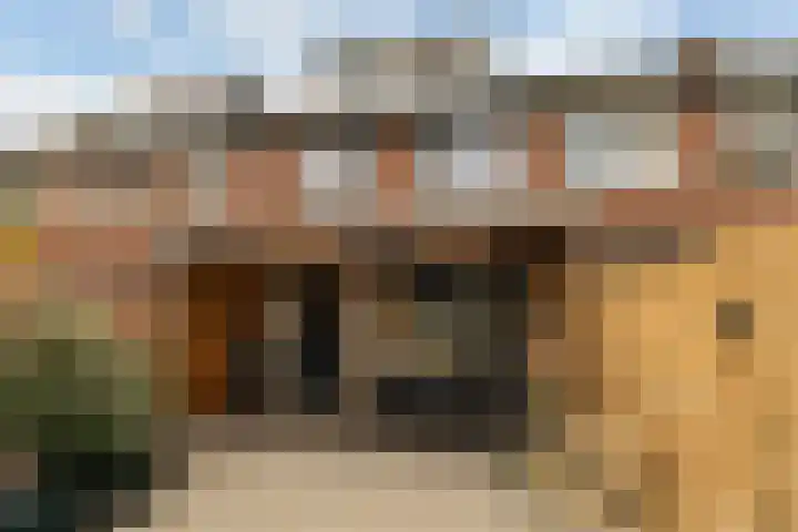 Platanenlaan 14 Renswoude thumbnail 41