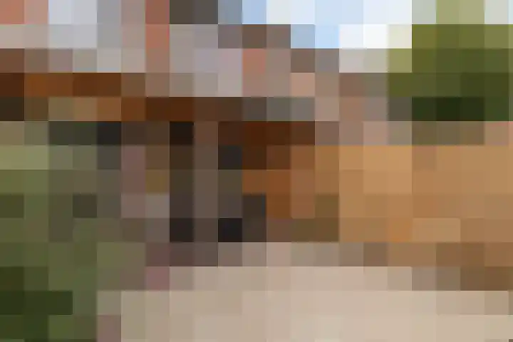 Platanenlaan 14 Renswoude thumbnail 42