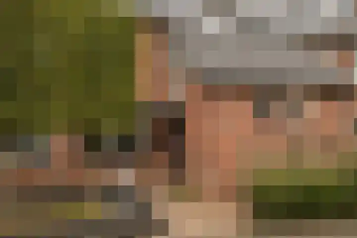 Platanenlaan 14 Renswoude thumbnail 44