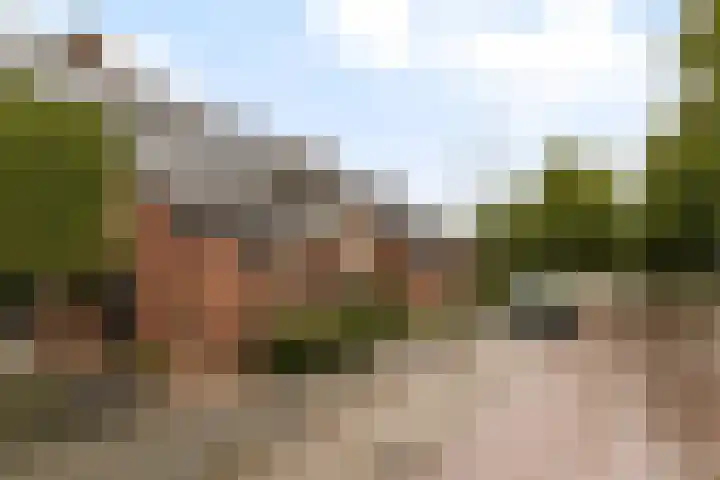 Platanenlaan 14 Renswoude thumbnail 45
