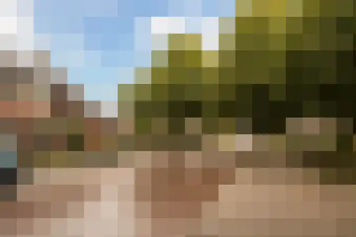 Platanenlaan 14 Renswoude thumbnail 46