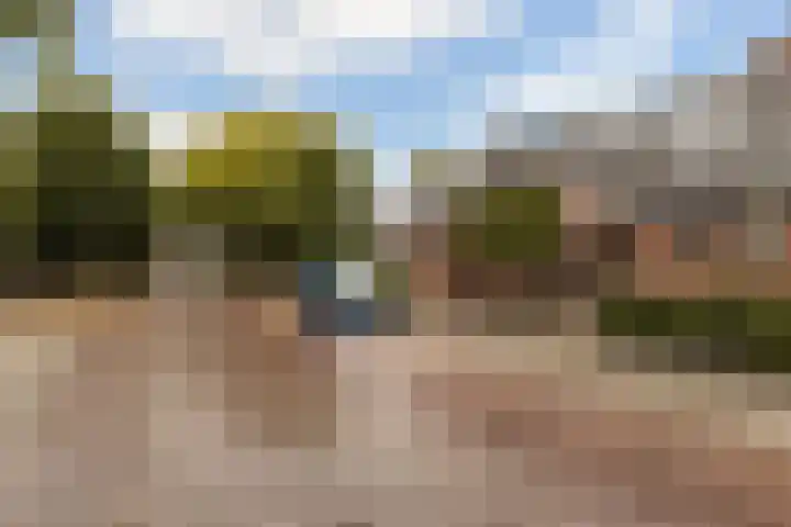 Platanenlaan 14 Renswoude thumbnail 47