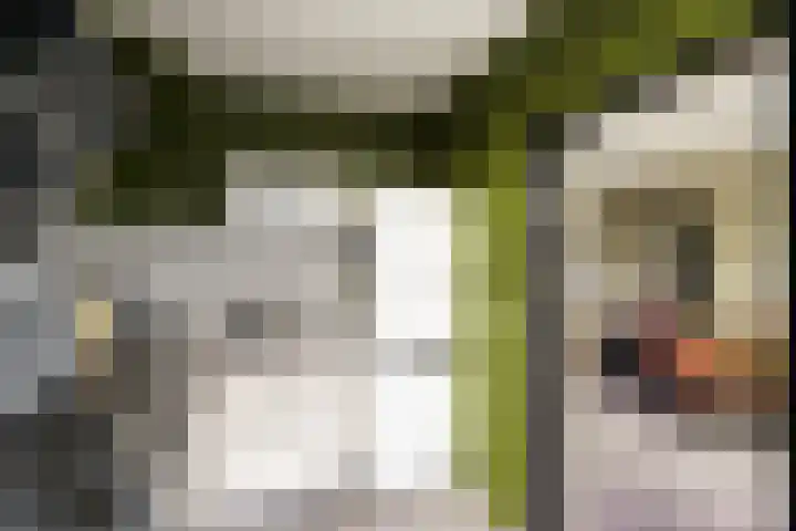 Platanenlaan 26 Nijkerk thumbnail 12