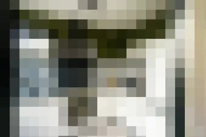 Platanenlaan 26 Nijkerk thumbnail 13
