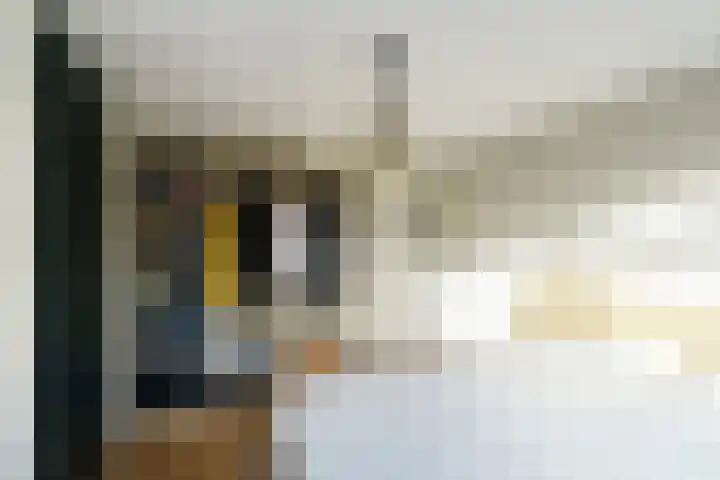 Platanenlaan 26 Nijkerk thumbnail 19