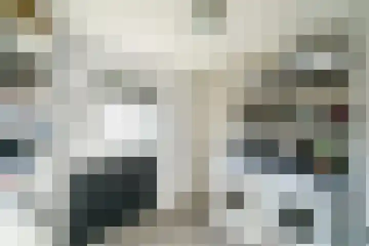 Platanenlaan 26 Nijkerk thumbnail 28