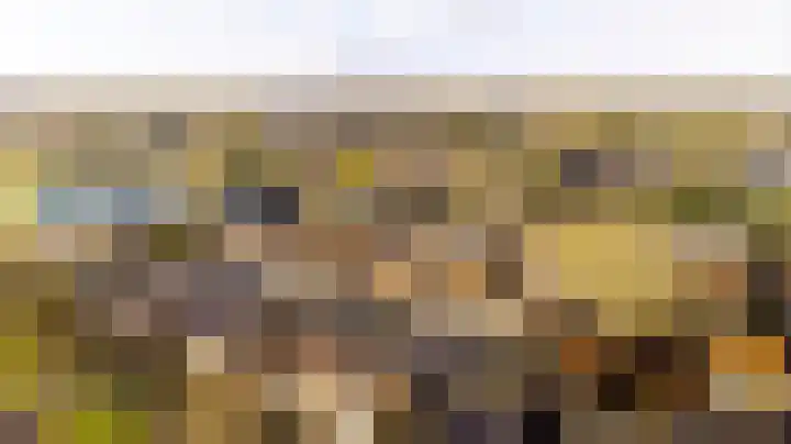 Platanenlaan 26 Nijkerk thumbnail 41