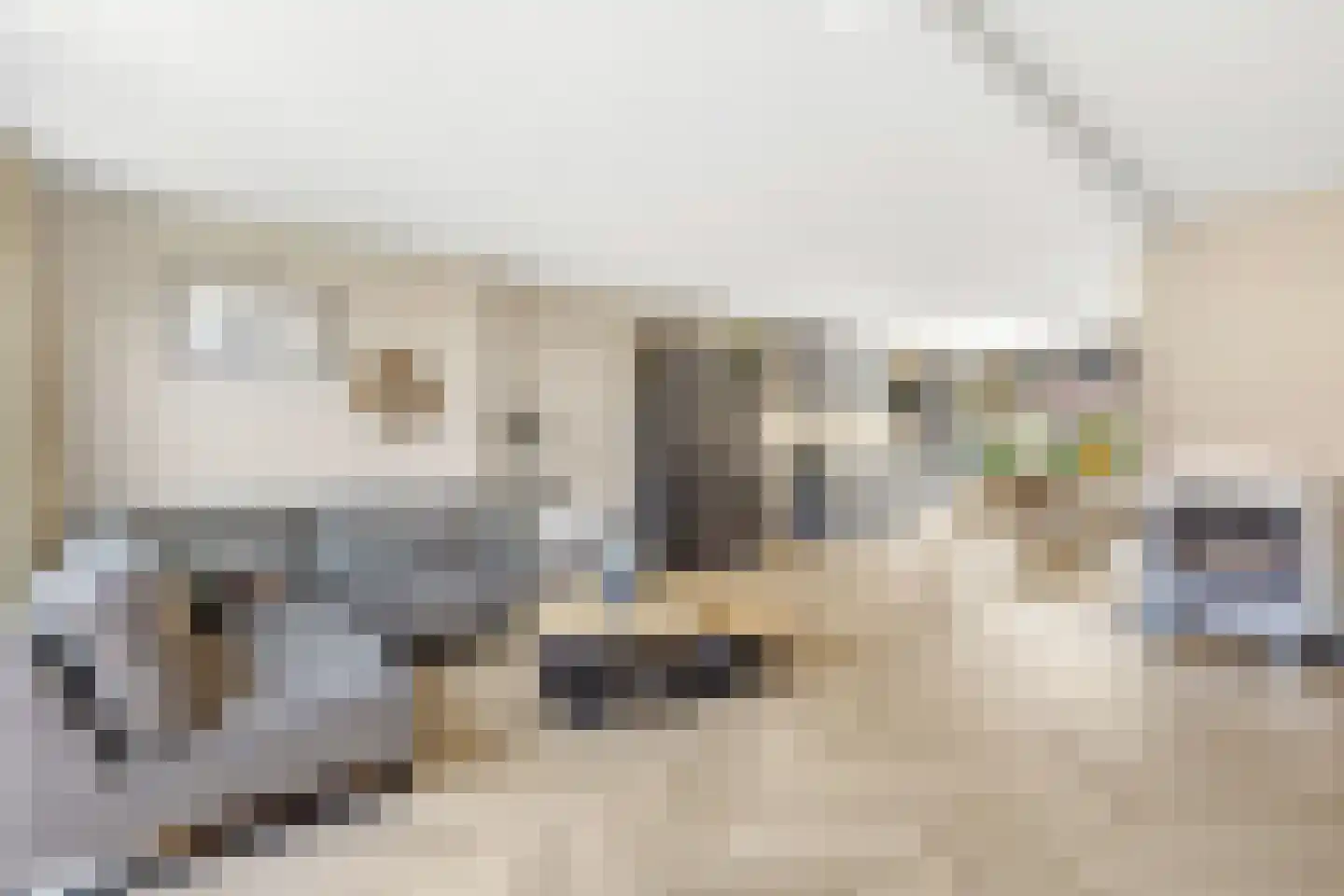 Platanenlaan 29 Nijkerk thumbnail 13