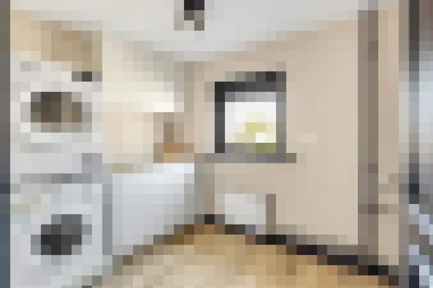 Platanenlaan 29 Nijkerk thumbnail 22