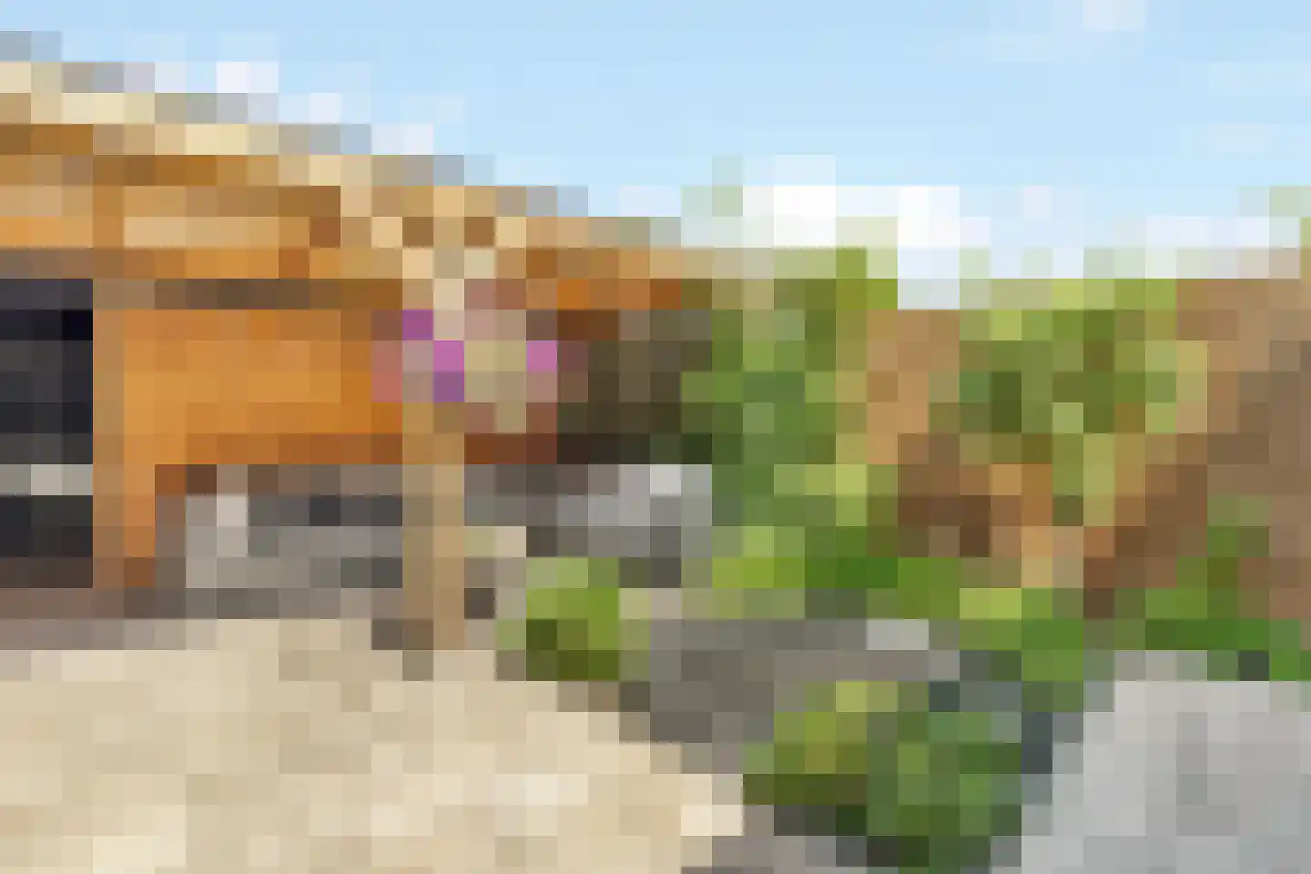 Platanenlaan 29 Nijkerk thumbnail 30
