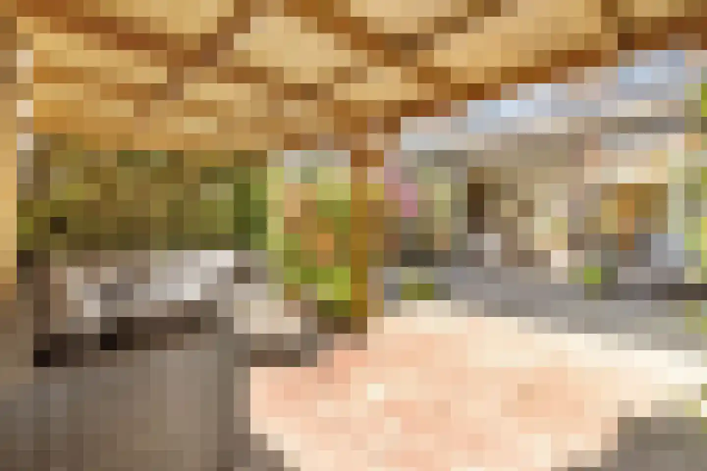 Platanenlaan 29 Nijkerk thumbnail 32