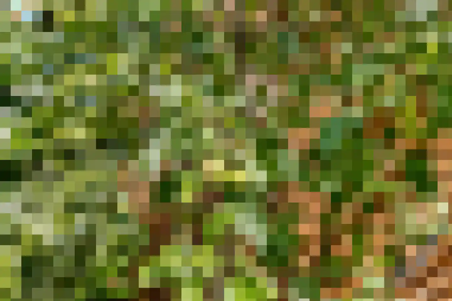 Platanenlaan 29 Nijkerk thumbnail 33