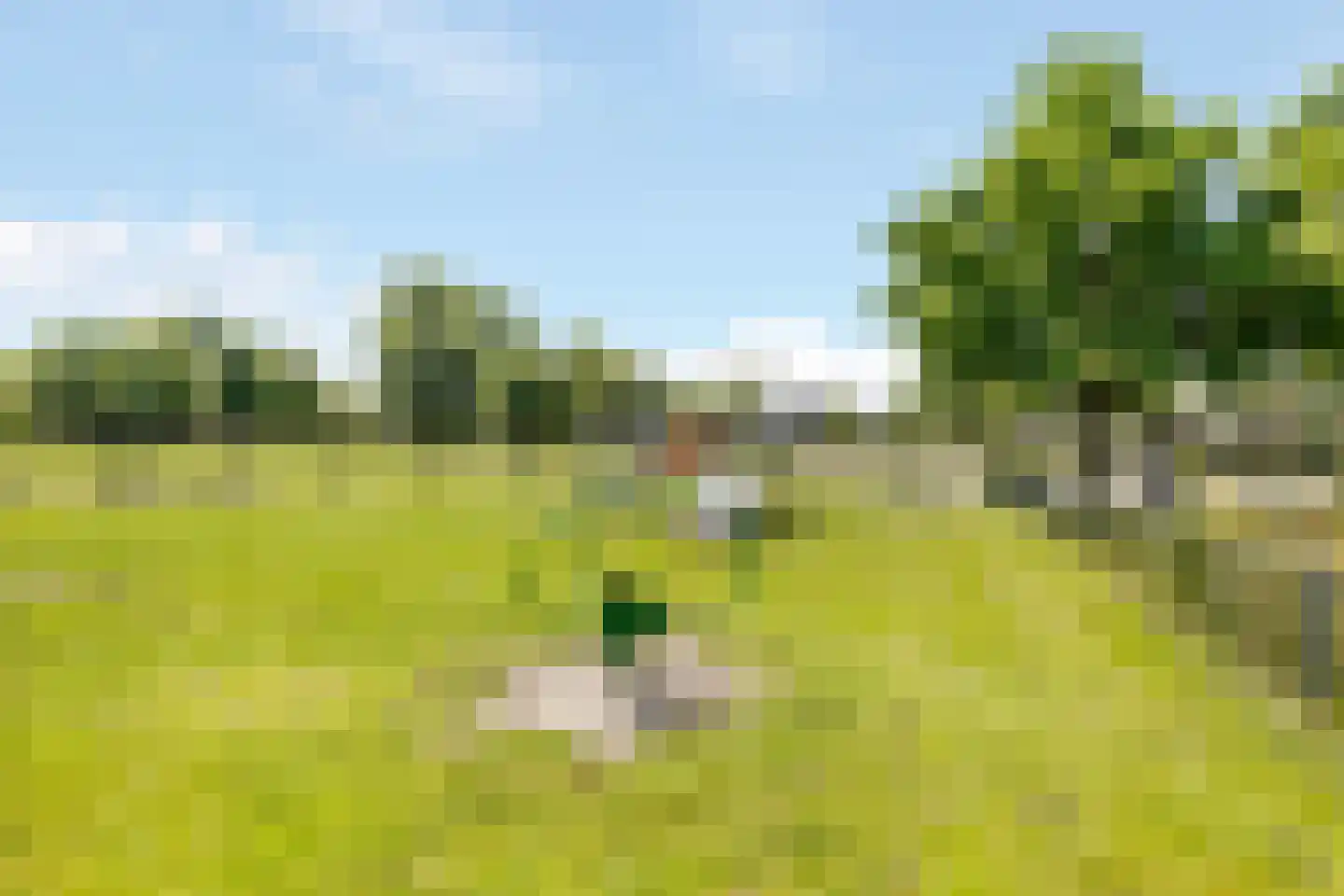 Platanenlaan 29 Nijkerk thumbnail 34
