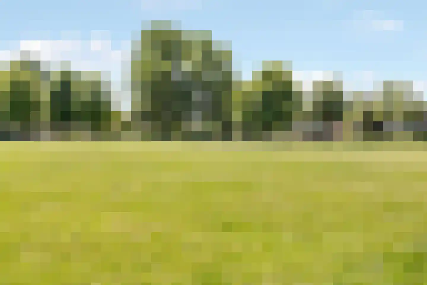 Platanenlaan 29 Nijkerk thumbnail 35