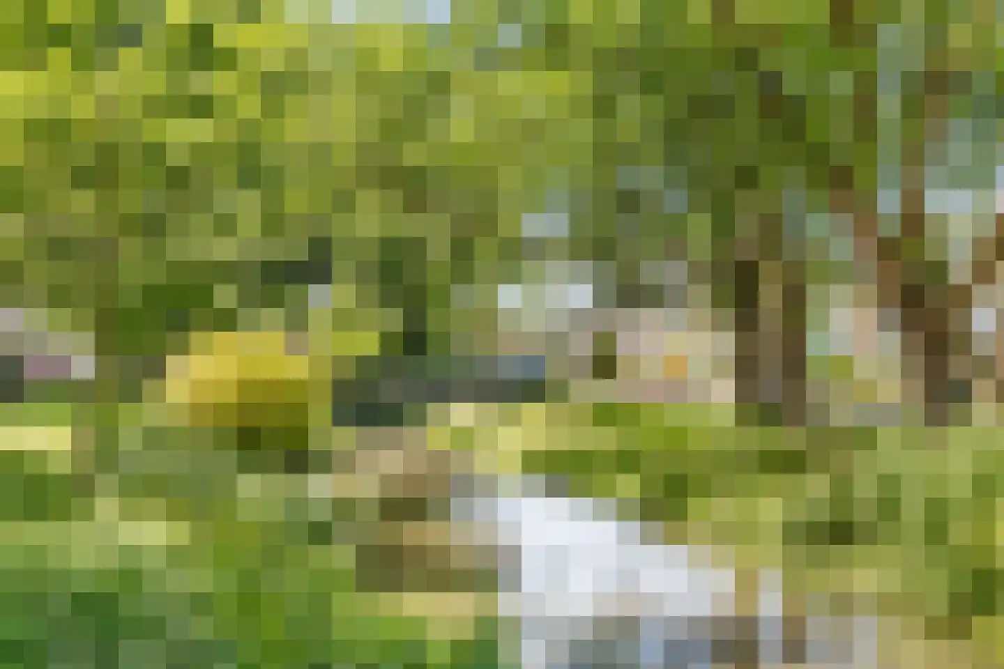 Platanenlaan 29 Nijkerk thumbnail 36
