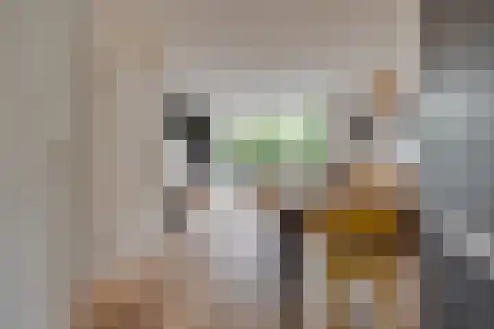 Platanenlaan 32 Leusden thumbnail 13