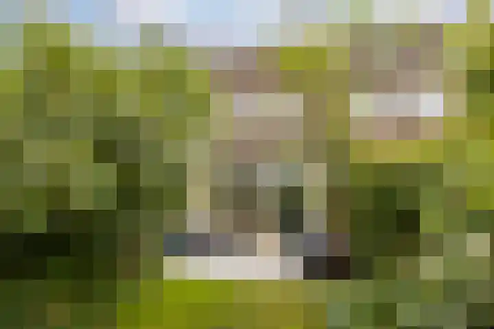 Platanenlaan 32 Leusden thumbnail 24
