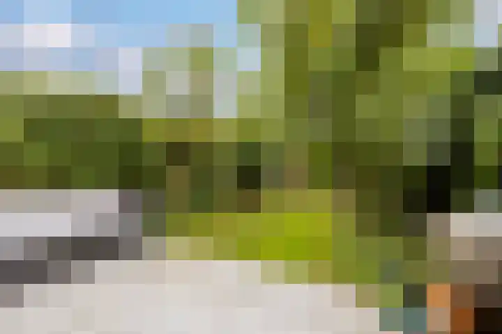 Platanenlaan 32 Leusden thumbnail 25