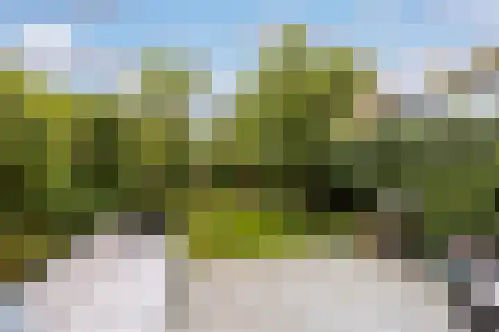 Platanenlaan 32 Leusden thumbnail 26