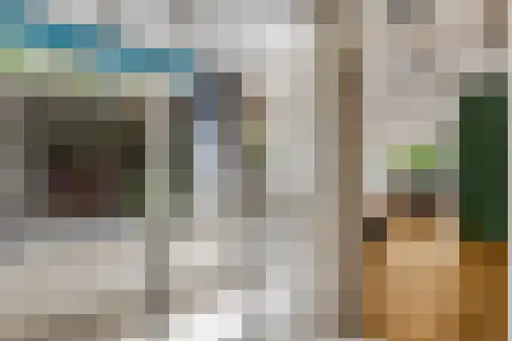 Platanenlaan 32 Rhenen thumbnail 11