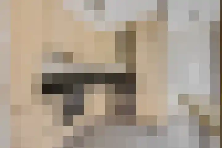 Platanenlaan 32 Rhenen thumbnail 12
