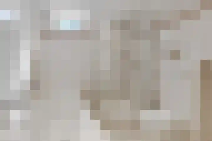 Platanenlaan 32 Rhenen thumbnail 15
