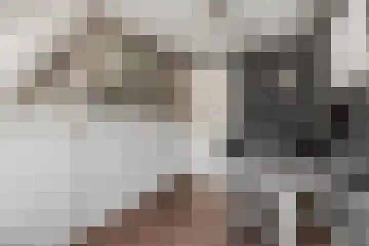 Platanenlaan 32 Rhenen thumbnail 21
