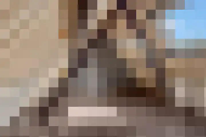 Platanenlaan 32 Rhenen thumbnail 22