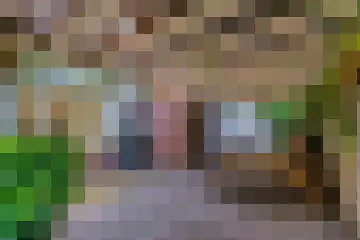 Platanenlaan 32 Rhenen thumbnail 23