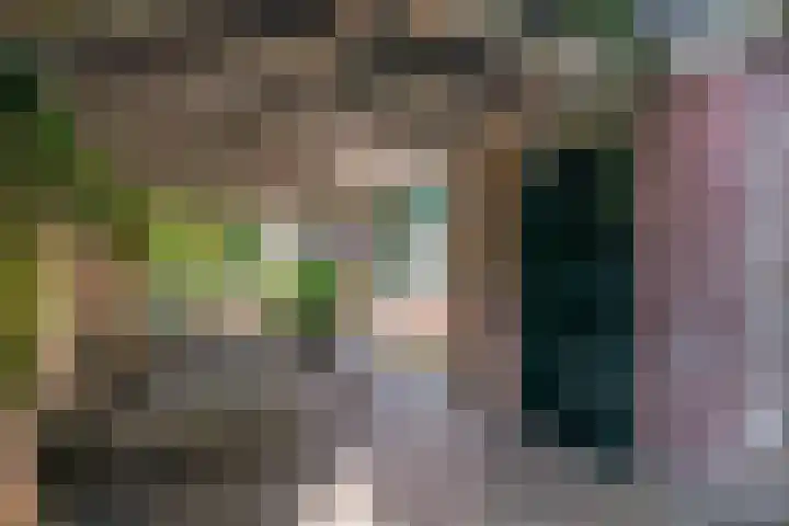 Platanenlaan 32 Rhenen thumbnail 24
