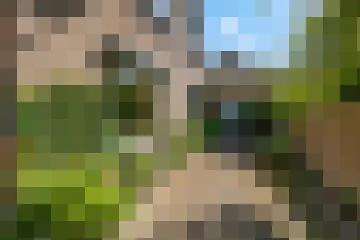 Platanenlaan 32 Rhenen thumbnail 25
