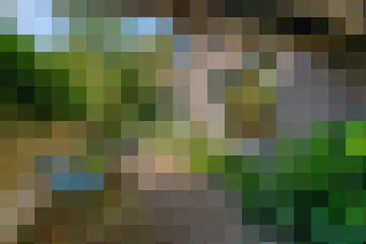 Platanenlaan 32 Rhenen thumbnail 26
