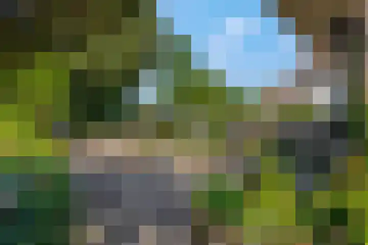 Platanenlaan 32 Rhenen thumbnail 27