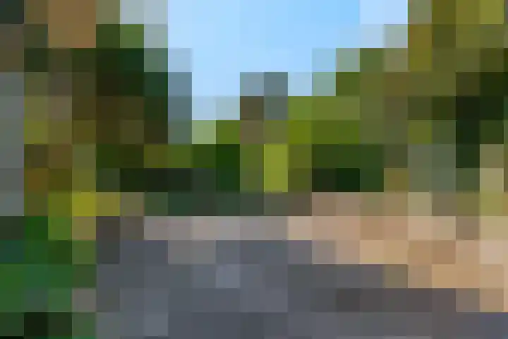 Platanenlaan 32 Rhenen thumbnail 28